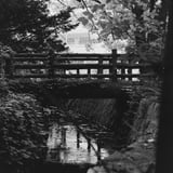 円山公園 水路