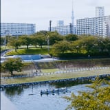 旧中川