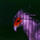 18年切れのフィルム