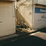 午後の日差し