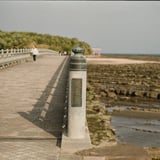 青島神社参道