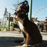 りょえさんぽ24ｍｍ以下会にて