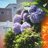 エフェクトフィルム