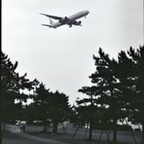 城南島にて