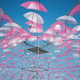 青空に傘が咲く