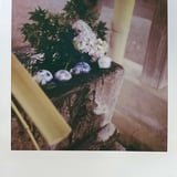 夏手水