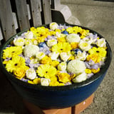 花一杯手水