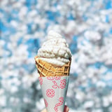 桜×桜のソフトクリーム