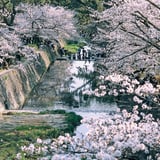 夙川
