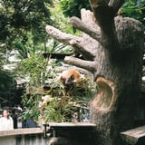パンダ（元祖