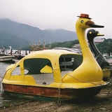 SWAN