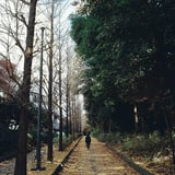 落ち葉