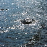 光る波