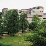 公園