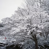 雪の日