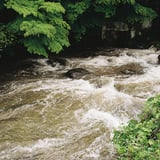 雨上がりの川（２）