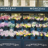 MONCEAU