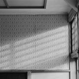 日差し