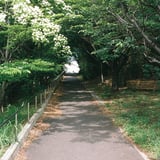上り坂