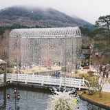ガラスの森