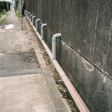 連なる