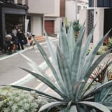 ギザギザ