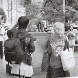 Hachi
