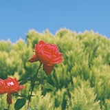 赤と緑、青
