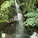 滝