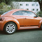 Beetle