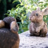 ウサちゃん