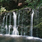 千条