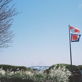 ベイブリッジ