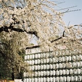 上野公園