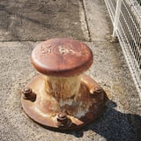 ２５T