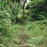 登る
