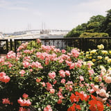 アメリカ山公園