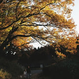 帰り道