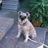 パン屋さん入るでしょ？