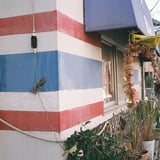トリコロール