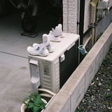 白い靴