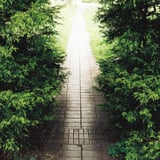 トンネル