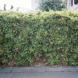 笹垣
