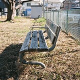 枯れベンチ