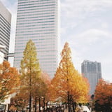 グランモール公園