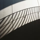 モノトーン