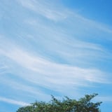 筋雲