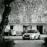 Park