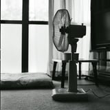 Electric fan