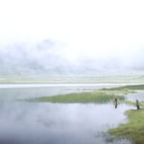 Foggy Plateau